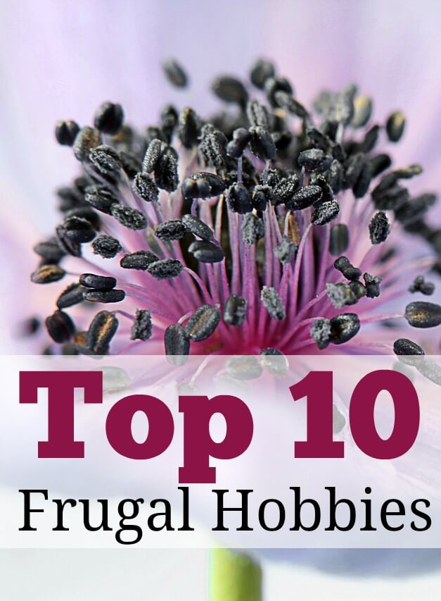 Want to live large on a small budget? If so, try out some of these frugal hobbies and see just how much money you could save. #frugality #thrifty 