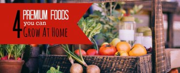 Want to save money and spend less on groceries? If so, here are some premium foods that anyone can grow at home. #frugality