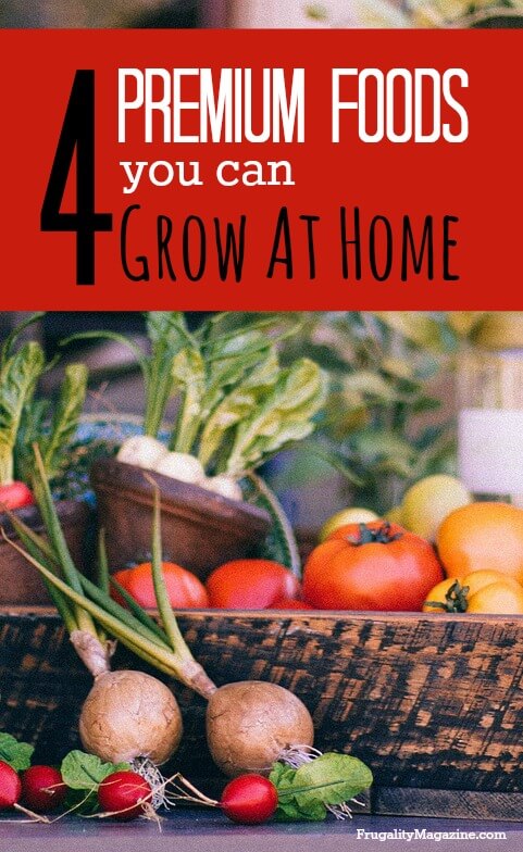 Want to save money and spend less on groceries? If so, here are some premium foods that anyone can grow at home. #frugality 