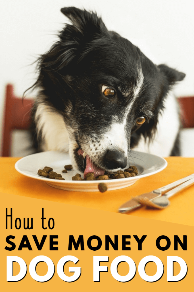 How to save money on dog food. Pets can be expensive but there are frugal ways to spend less each month. Here are some proven tips for how I spend less on dog food than the average pet owner.